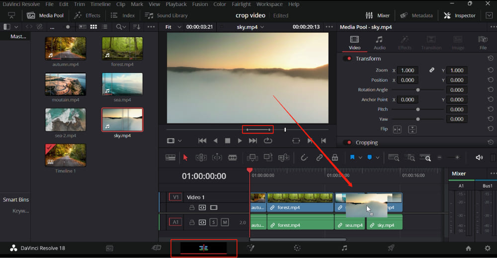 DaVinci Resolve Video Editor