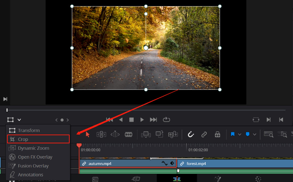 [DaVinci Resolve Tutorial] Effects and Keyframes