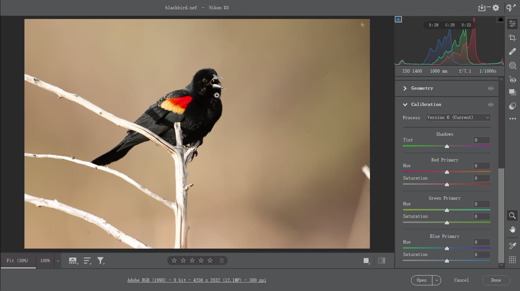 adobe photoshop cs2 camera raw plugin download