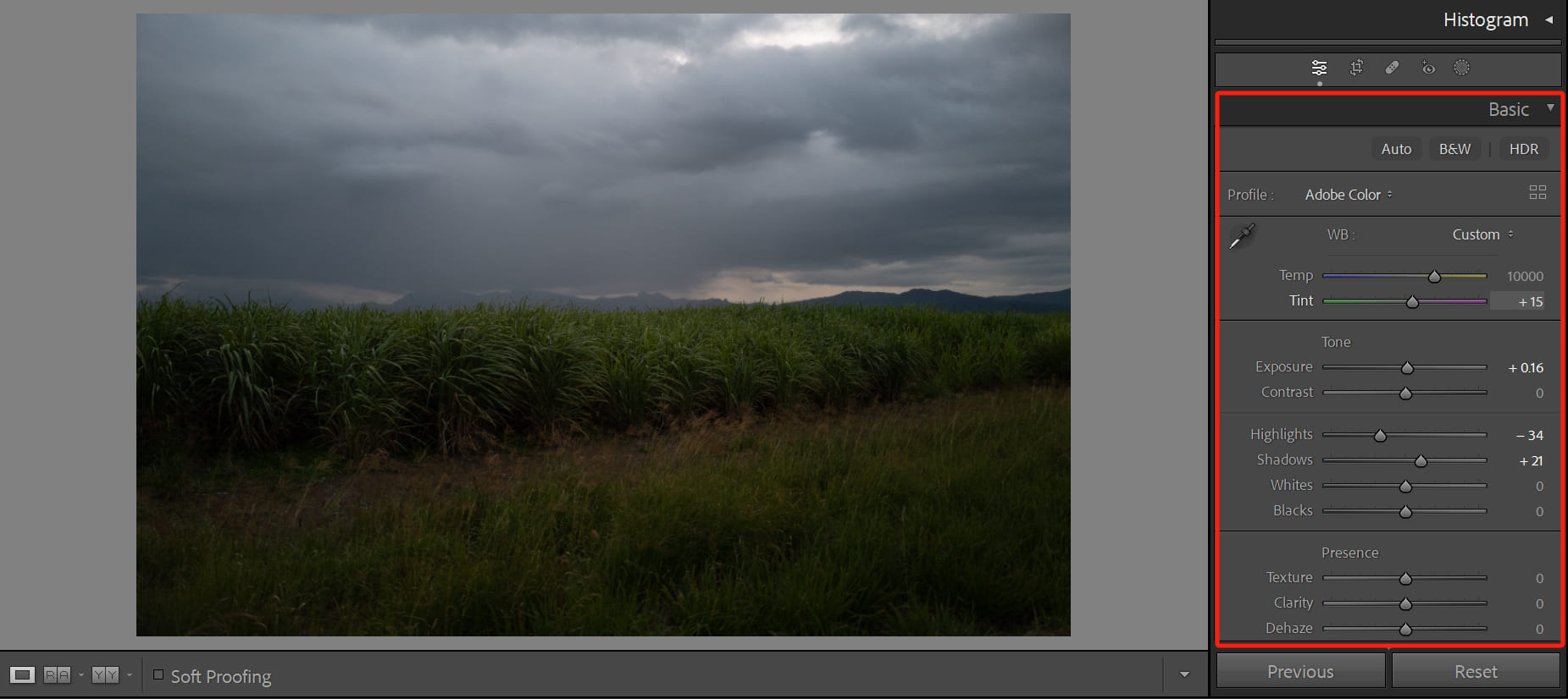 Basic Panel In Lightroom Classic How To Rescue Your Trash Shots