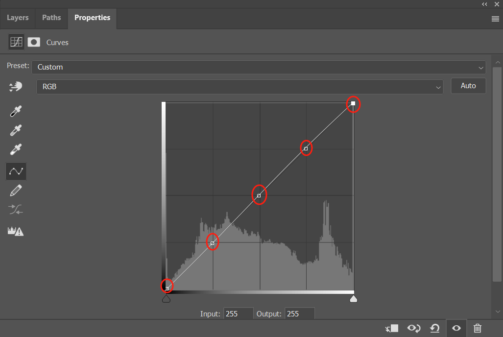 Photoshop Curves: How to Harness the Power of the Color Grading King?