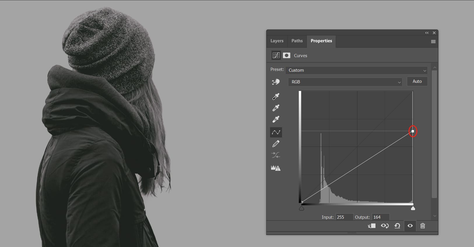 Photoshop Curves: How to Harness the Power of the Color Grading King?